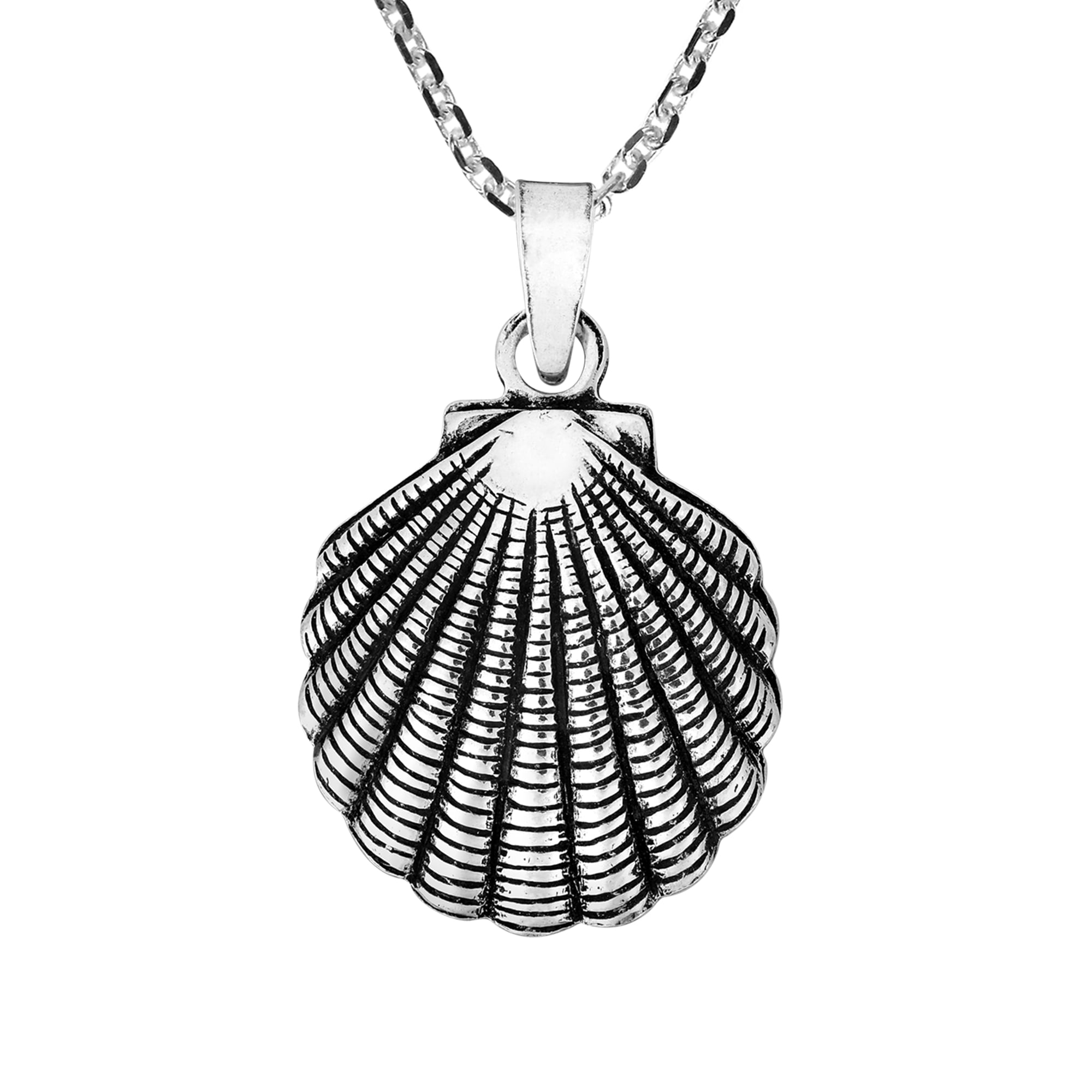 Beautiful Beach Scallop Seashell Sterling Silver Pendant Necklace ...