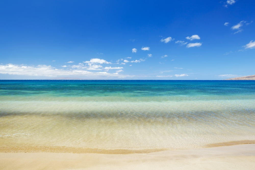 Beautiful Beach and Tropical Sea Canvas Art - Design Pics Vibe Design Pics (17 x 11)