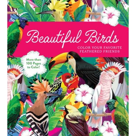 Pre-Owned Beautiful Birds: Color Your Favorite Feathered Friends - More Than 100 Pages to Color! (Paperback) by Editors of Chartwell Books