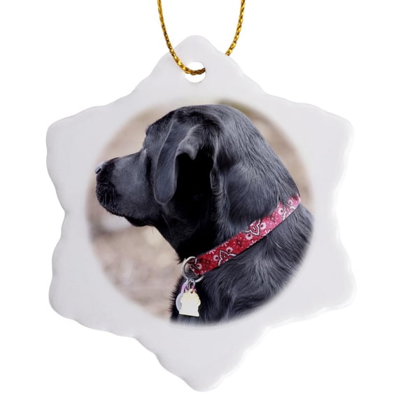 3drose, Beautiful Black Labrador Retriever Dog Pet Photo Side Profile, 3 inch Snowflake Porcelain Ornament
