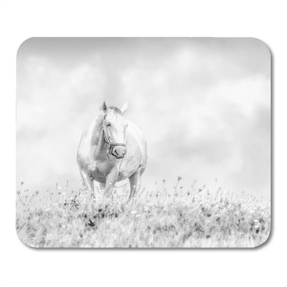 Beautiful Black and White of Lipizzaner Stallion Grazing in Golden Meadow Late Afternoon Light Dramatic Mousepad Mouse Pad Mouse Mat 9x10 inch