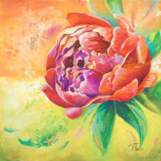 Beautiful Bouquet of Peonies II Canvas Art - Patricia Pinto (24 x 24)