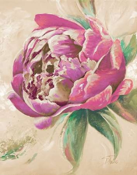 Beautiful Bouquet of Peonies in Pink II Canvas Art - Patricia Pinto (22 x 28)