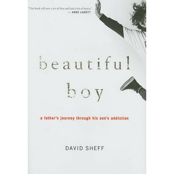 Beautiful Boy: A Father's Journey Through His Son's Addiction (Hardcover)