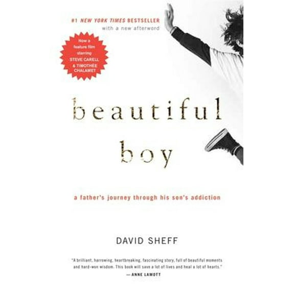 Pre-Owned Beautiful Boy: A Father's Journey Through His Son's Addiction (Library Binding) 1613838190 9781613838198