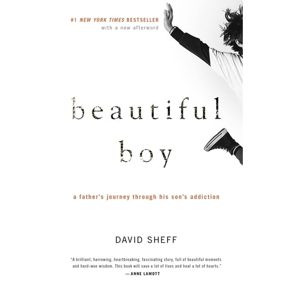 Beautiful Boy: A Father's Journey Through His Son's Addiction, (Paperback)