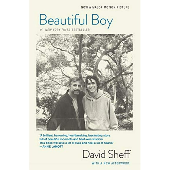 Pre-Owned Beautiful Boy (Tie-In): A Father's Journey Through His Son's Addiction (Paperback) 1328974715 9781328974716