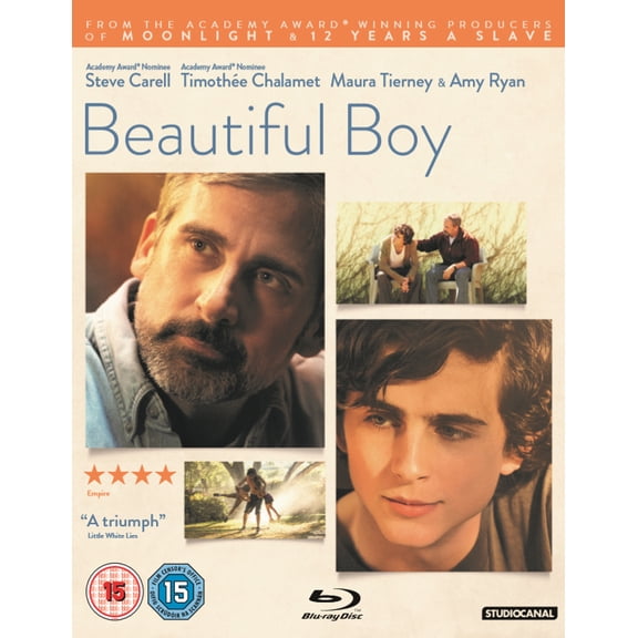Beautiful Boy (Blu-ray) Steve Carell Kaitlyn Dever Stefanie Scott Christian Convery Oakley Bull