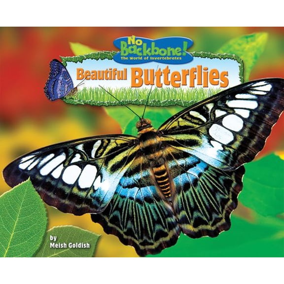Pre-Owned Beautiful Butterflies (Library Binding) 1597165875 9781597165877