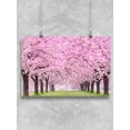 thumbnail image 1 of Beautiful Cherry Blossoms. Poster -Image by Shutterstock, 1 of 2