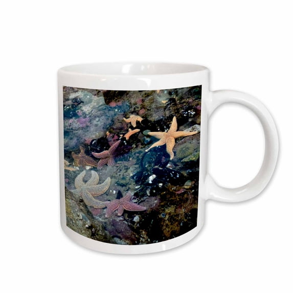 3drose, Beautiful Colorful Starfish at the Boston Aquarium, 11oz Mug