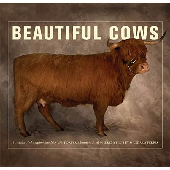 Pre-Owned Beautiful Cows (Paperback) 0312605005 9780312605001