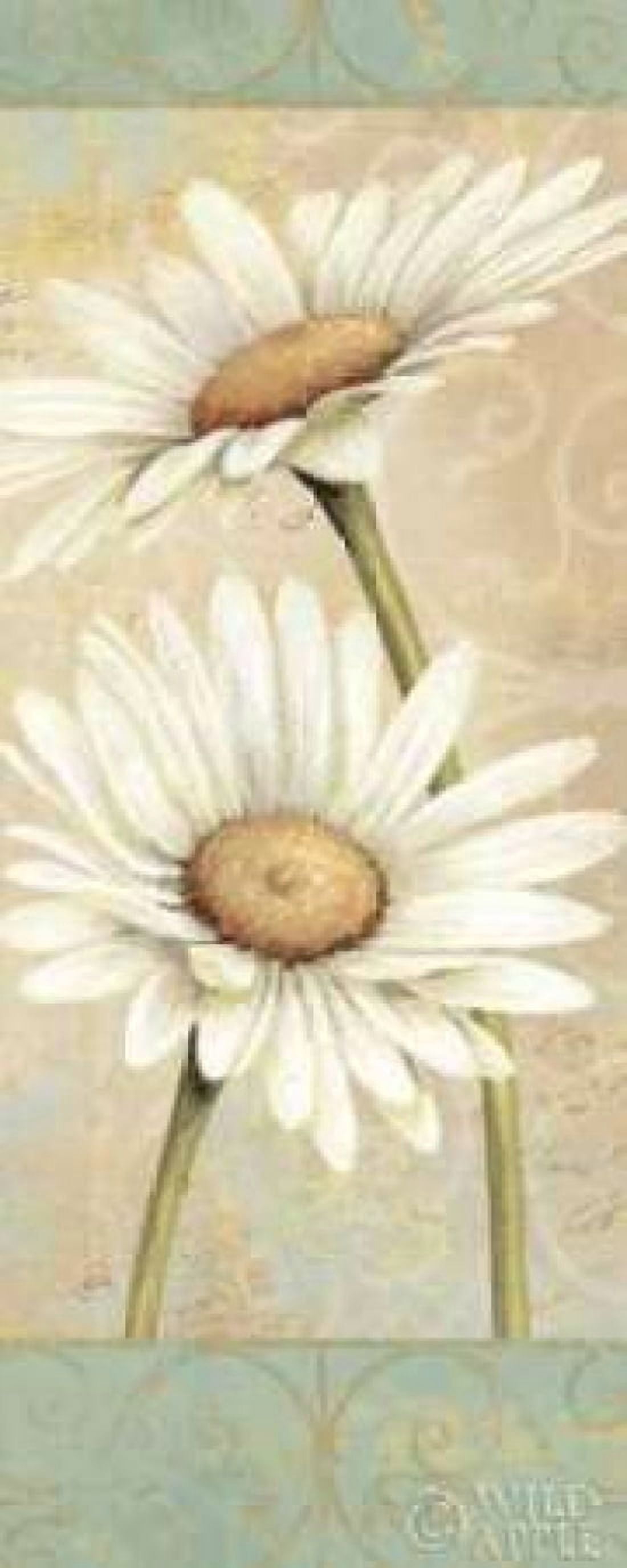 Beautiful Daisies II Canvas Art - Daphne Brissonnet (10 x 20)