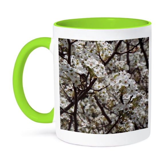 3dRose, Beautiful Dogwood Blooms, 15oz Two-Tone Green Mug