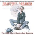 thumbnail image 1 of Pre-Owned Beautiful Dreamer (CD 0015095357625) by Various Artists, 1 of 1