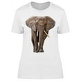 thumbnail image 1 of Beautiful Elephant Frontview T-Shirt Women -Image by Shutterstock, Female Small, 1 of 2