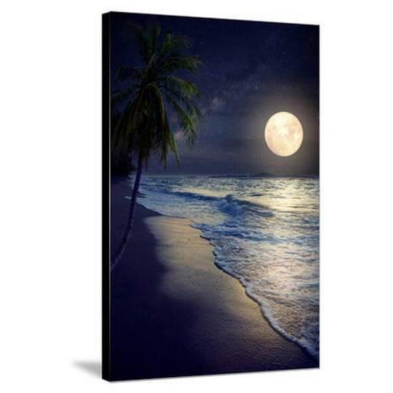 Beautiful Fantasy Tropical Beach with Milky Way Star in Night Skies, Full Moon - Retro Style Artwor, Scenic Stretched Canvas Wall Art by jakkapan Sold by Art.Com