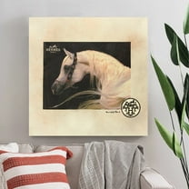 BEAUTIFUL FASHION WHITE HORSE - 14"x14" Canvas Artwork - Multi-Color 30 x 30
