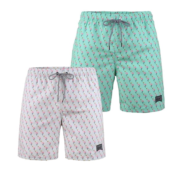 Beautiful Giant Boy's Swim Trunks Quick Dry Hawaii Style Swimwear Bathing Suit Briefs 2 Pack, Sizes 8-18