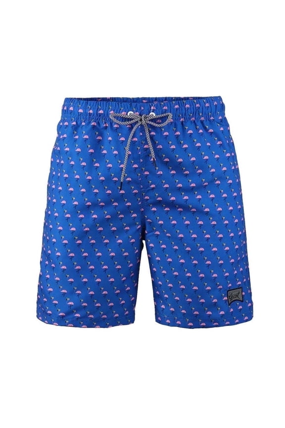 Boys Casual Swim Trunks with Quick Dry Mesh Liner, Hawaii Style, Sizes 8-18