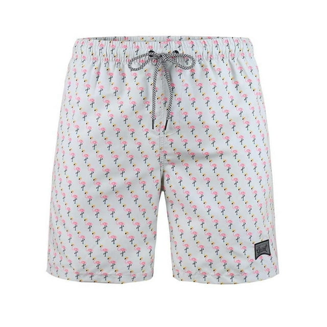 Beautiful Giant Boy's Swim Trunks Quick Dry Hawaii Style Swimwear Bathing Suit Briefs, Sizes 8-18