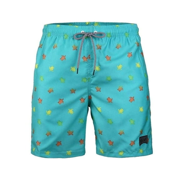 Beautiful Giant Boys Casual Swim Trunks Quick Dry Hawaii Style Swimwear Mesh liner, Sizes 8-18
