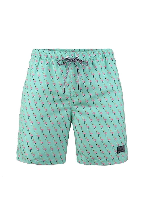 Boys Casual Swim Trunks Quick Dry Hawaii Style Swimwear Mesh liner, Sizes 8-18