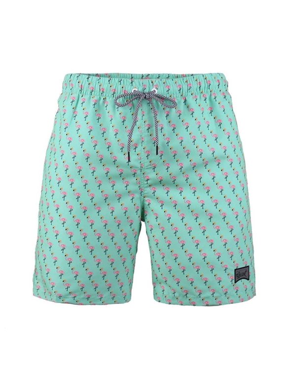 Boys Casual Swim Trunks Quick Dry Hawaii Style Swimwear Mesh liner, Sizes 8-18