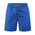 thumbnail image 1 of Beautiful Giant Boys Casual Swim Trunks Quick Dry Hawaii Style Swimwear Mesh liner, Sizes 8-18, 1 of 8