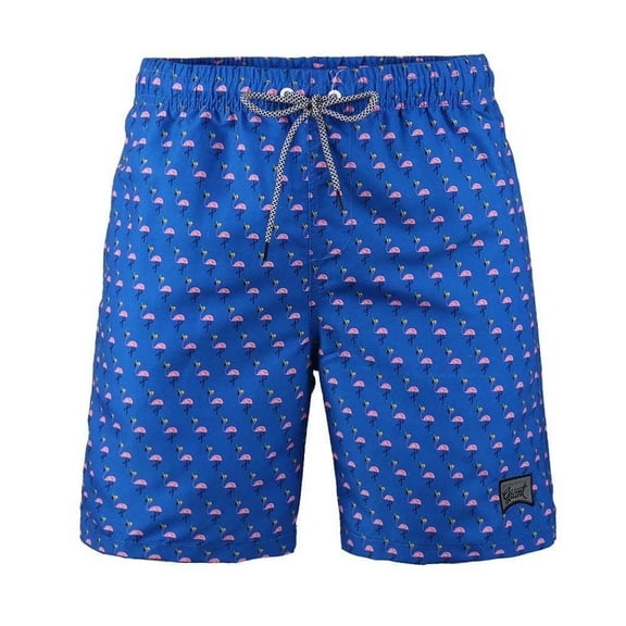 Beautiful Giant Boys Casual Swim Trunks Quick Dry Hawaii Style Swimwear Mesh liner, Sizes 8-18