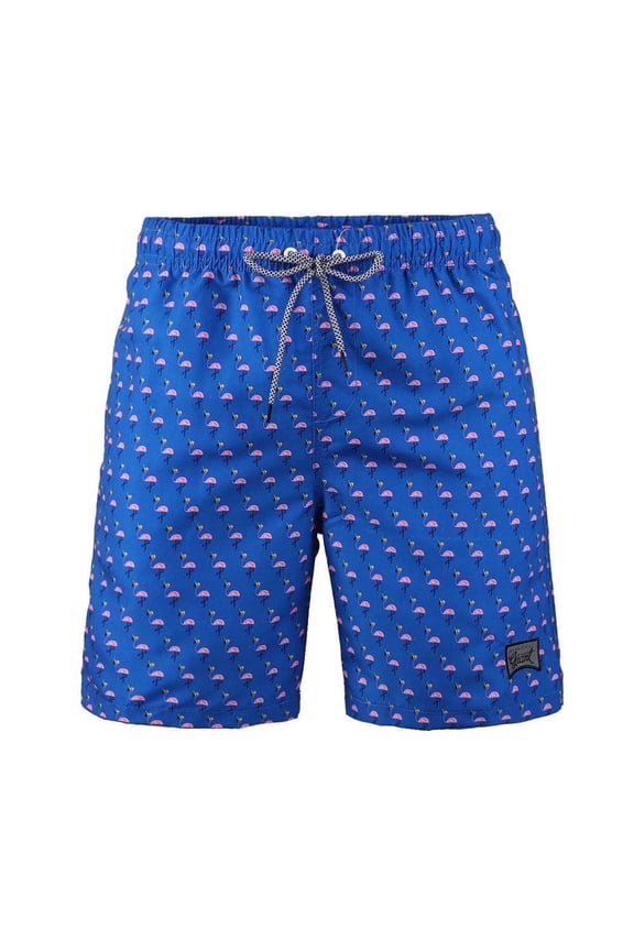 Boys Casual Swim Trunks Quick Dry Hawaii Style Swimwear Mesh liner, Sizes 8-18