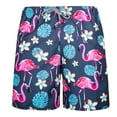 thumbnail image 1 of Beautiful Giant Men's Swim Trunks with Mesh Lining Slim Fit Quick Dry Swimwear Clearance, 1 of 5