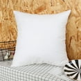 thumbnail image 1 of Beautiful Giant Ultra Soft Down Feather Euro Pillow Insert 1 Pack, 18"x 18"(Pillowcase included), 1 of 5