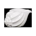 Shell Showpieces Beautiful Glossy & Shiny Ceramic Shell Showpiece In White Small ...
