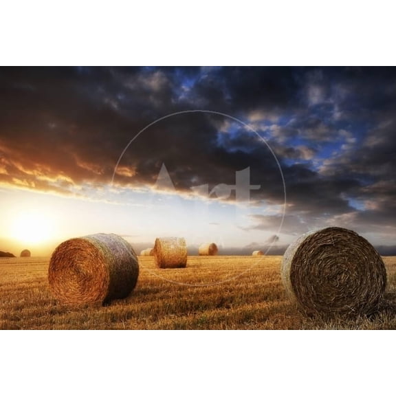 Beautiful Golden Hour Hay Bales Sunset Landscape, Unframed Photographic Print Wall Art by Veneratio Sold by Art.Com