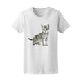 thumbnail image 1 of Beautiful Grey Silver Cat T-Shirt Women -Image by Shutterstock, Female Large, 1 of 2