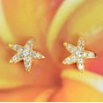 thumbnail image 1 of Beautiful Hawaiian Starfish Earring, Sterling Silver Yellow-Gold Plated Starfish CZ Stud Earring, E4419 Birthday Mom Valentine Gift, Island, 1 of 5