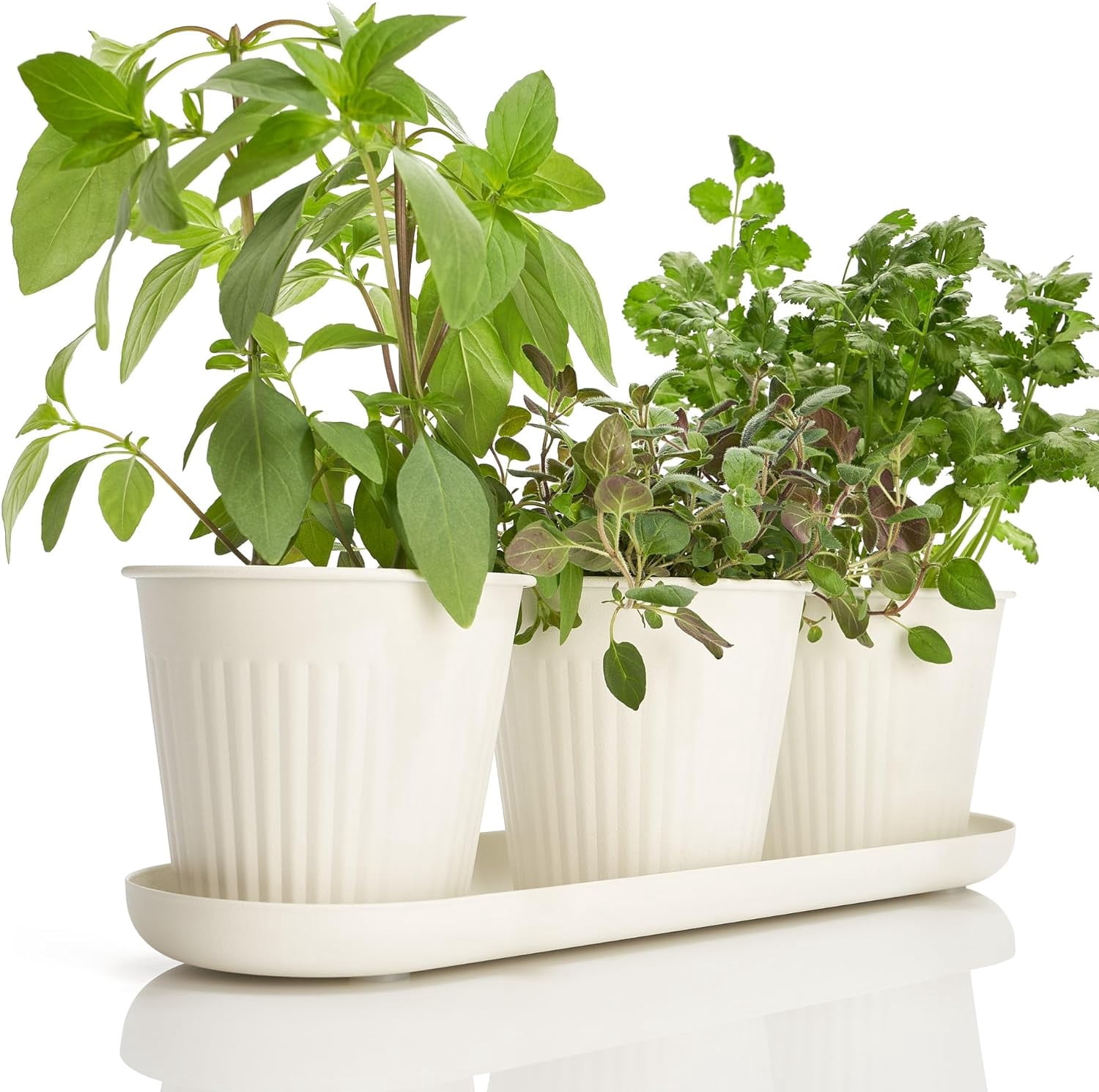 Curated visual reference: Picture Idea: Beautiful Herb Garden Planter Indoor Set Of 3