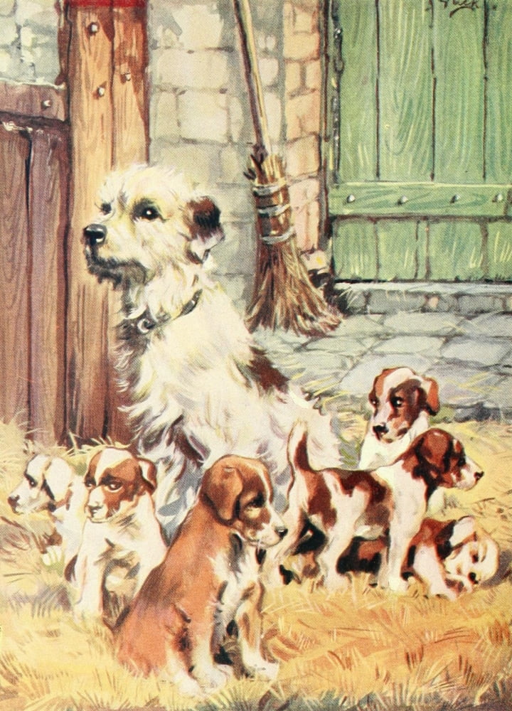 Beautiful Joe 1907 6 puppies Canvas Art - John Nicholson (18 x 24)