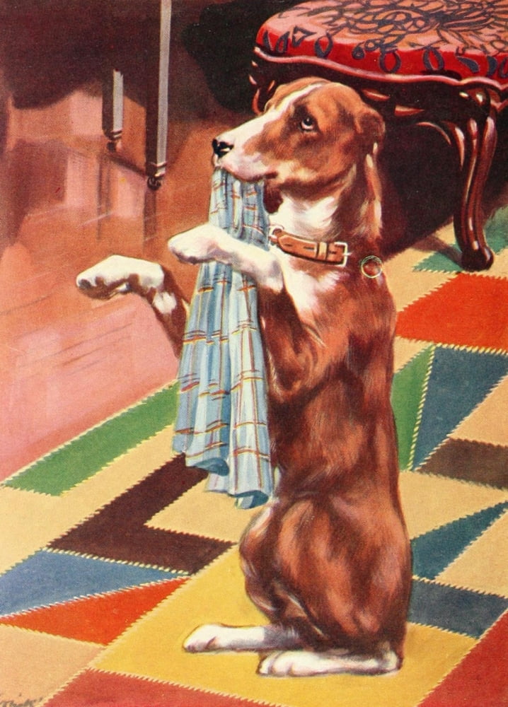 Beautiful Joe 1907 A clean duster Canvas Art - John Nicholson (24 x 36)
