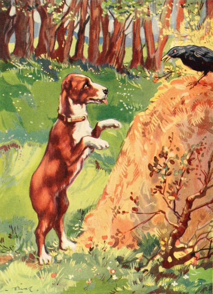 Beautiful Joe 1907 He barked at the bird Canvas Art - John Nicholson (24 x 36)