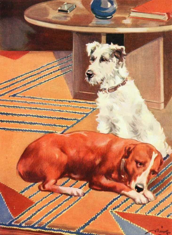 Beautiful Joe 1907 He would lie in front of the fire Canvas Art - John Nicholson (18 x 24)