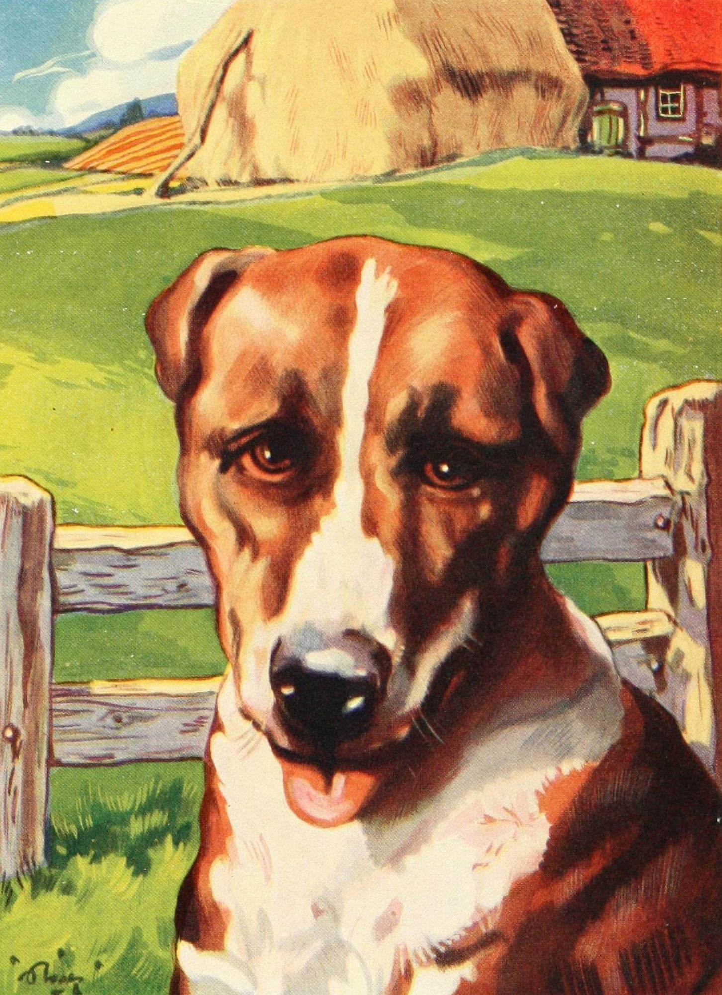 Beautiful Joe 1907 My name is Beautiful Joe Canvas Art - John Nicholson (18 x 24)