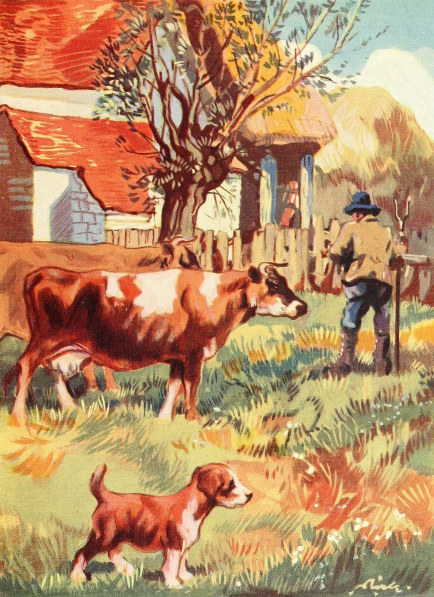 Beautiful Joe 1907 Very unhappy cows Canvas Art - John Nicholson (24 x 36)