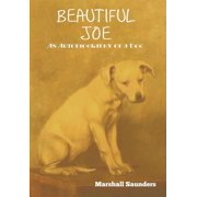 Beautiful Joe, Hardcover