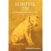 Beautiful Joe, Paperback