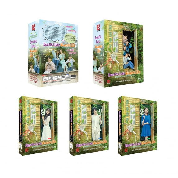 Beautiful Love Wonderful Life Korean TV Series - Drama DVD (NTSC - All Region)