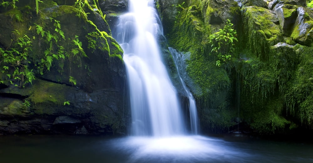 Beautiful Lush Waterfall Canvas Art - Design Pics Vibe Design Pics (38 x 20)