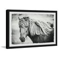 thumbnail image 1 of Beautiful Mane Framed Painting Art Print, 1 of 6