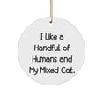 thumbnail image 1 of Beautiful Mixed Cat Circle Ornament, I Like a Handful of Humans and My Mixed Cat., Present for Cat Lovers, Inspire from Friends, 1 of 1